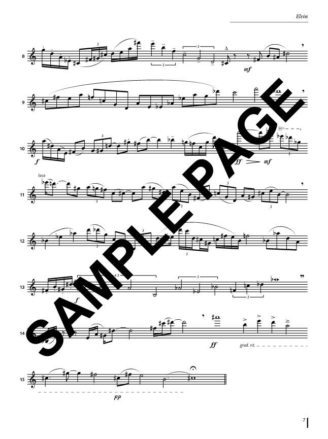 Other Cover Image Elvin 