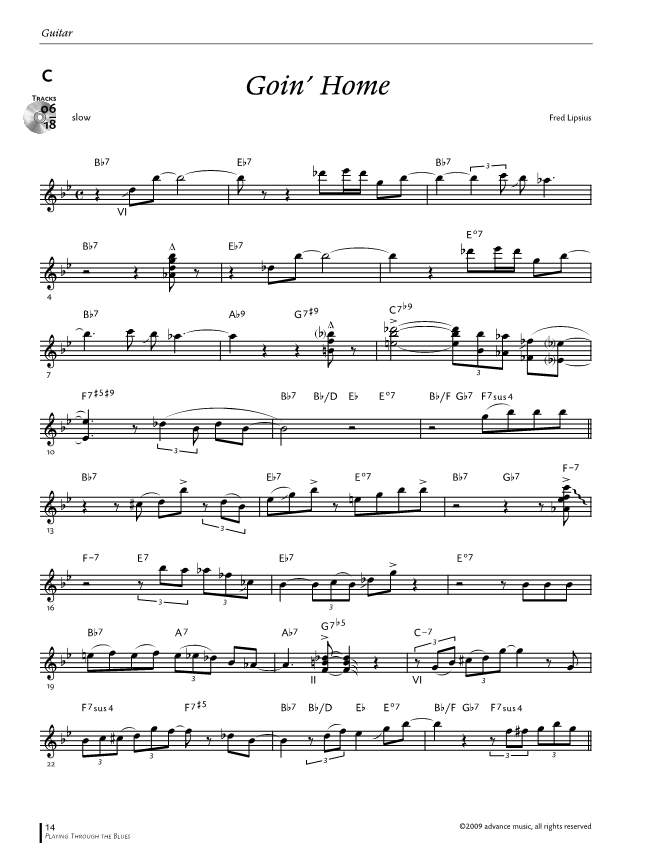 Other Cover Image Playing Through The Blues - Guitar 