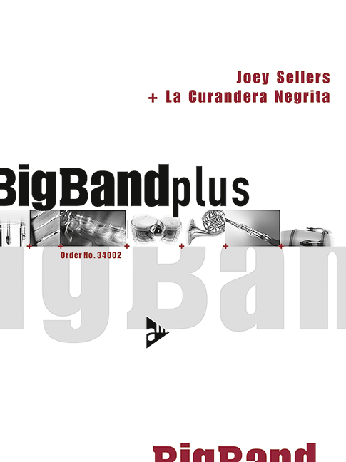 Front Cover Image La Curandera Negrita 