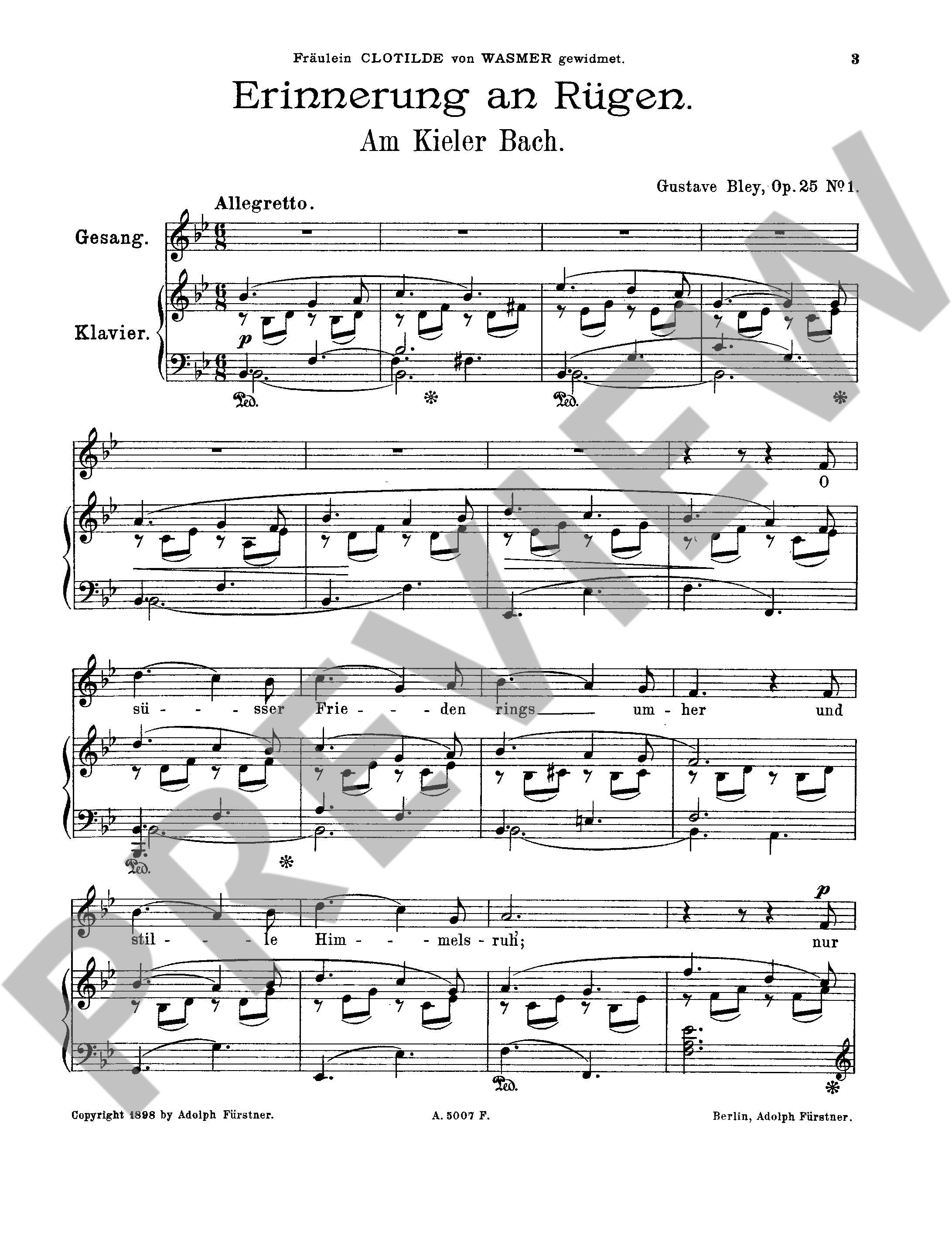 Other Cover Image Erinnerung an Rügen op. 25/1 