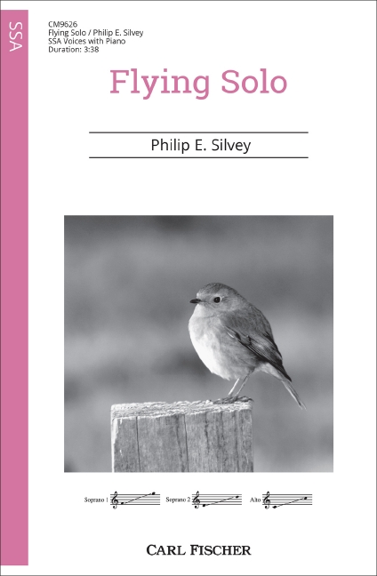 Front Cover Image Flying Solo 