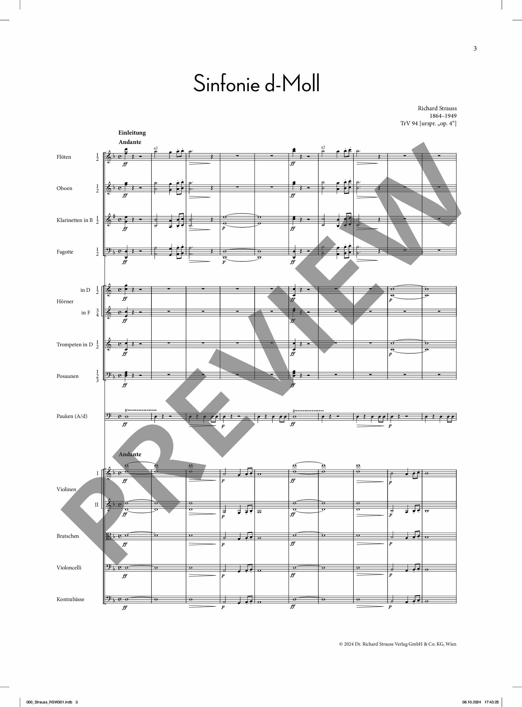 Other Cover Image Sinfonie d-Moll op. o. Op. 69 TrV 94