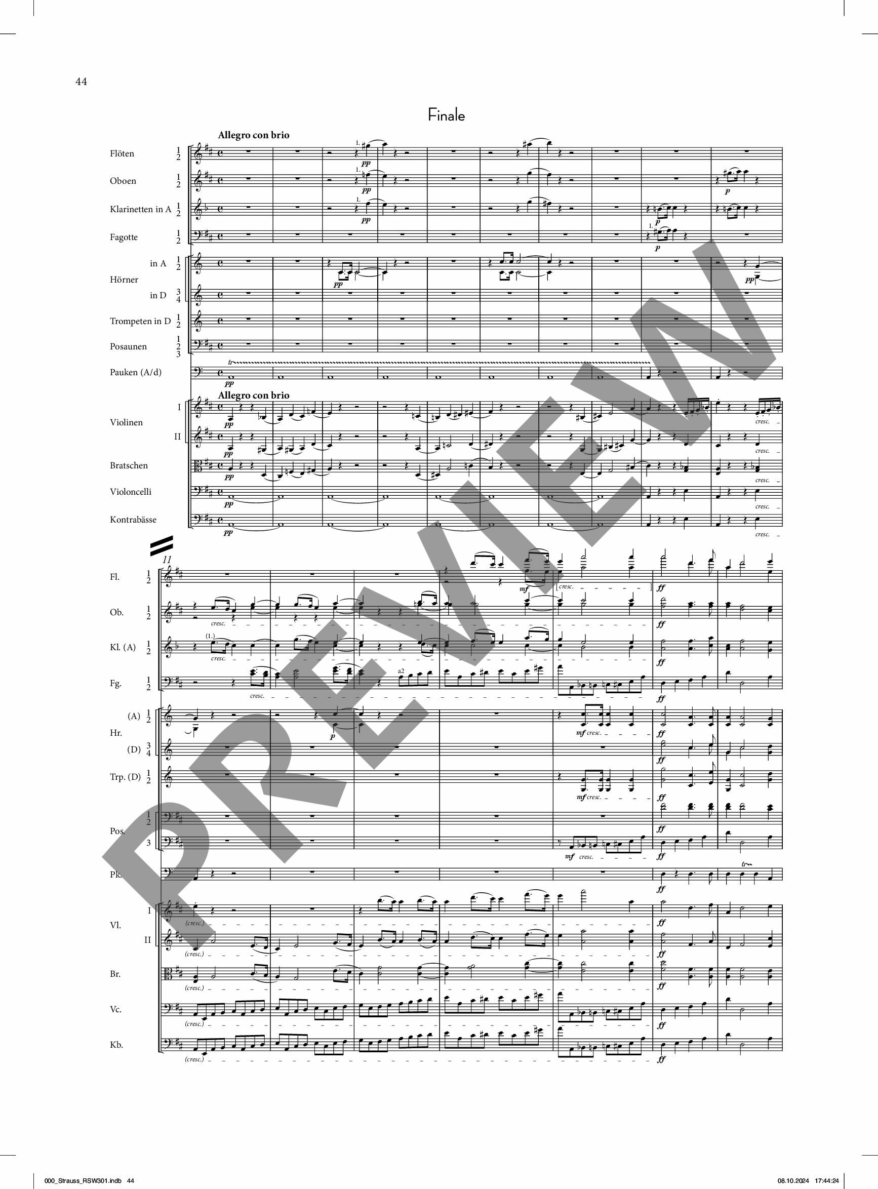 Other Cover Image Sinfonie d-Moll op. o. Op. 69 TrV 94