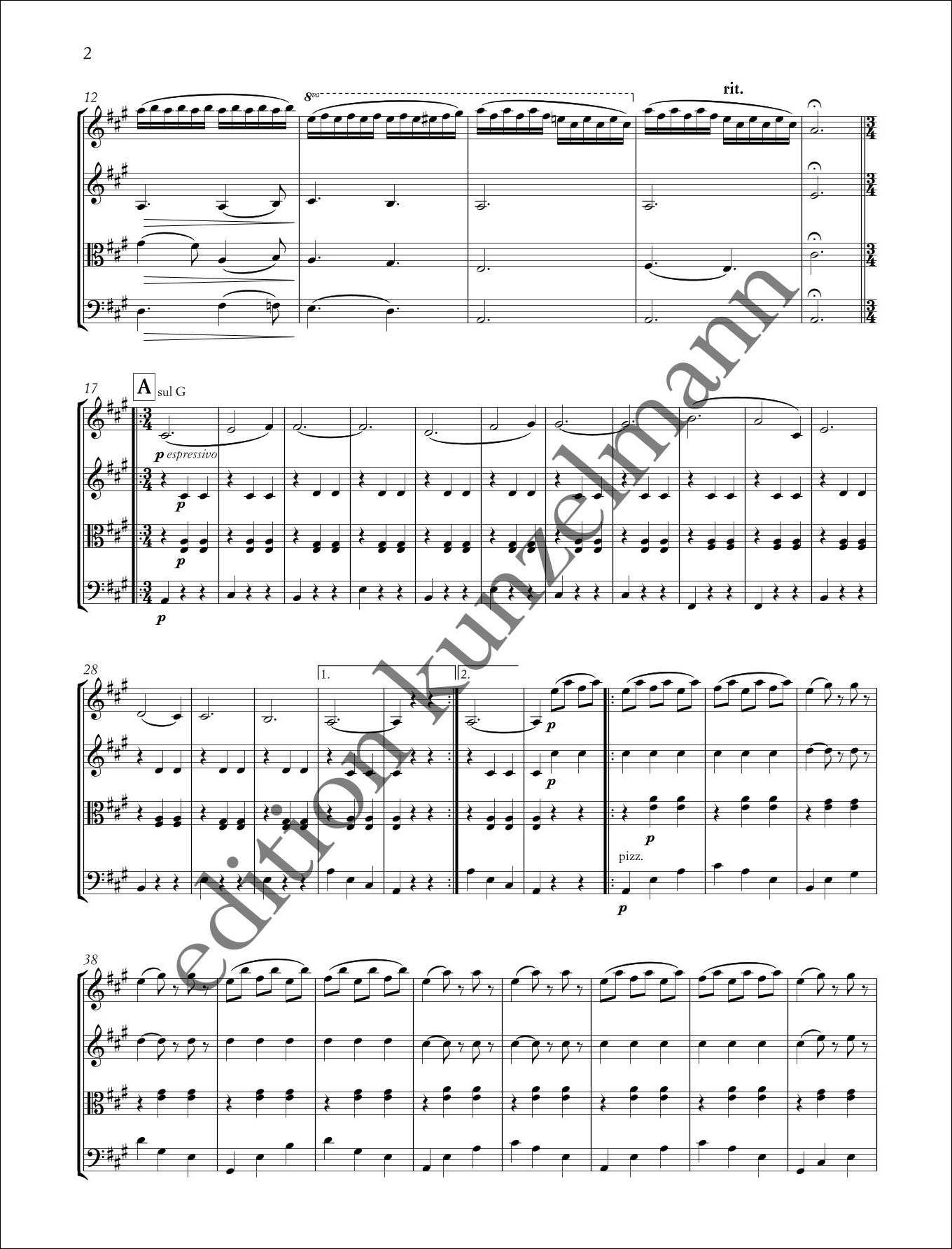 Other Cover Image Schlittschuhläufer op. 183