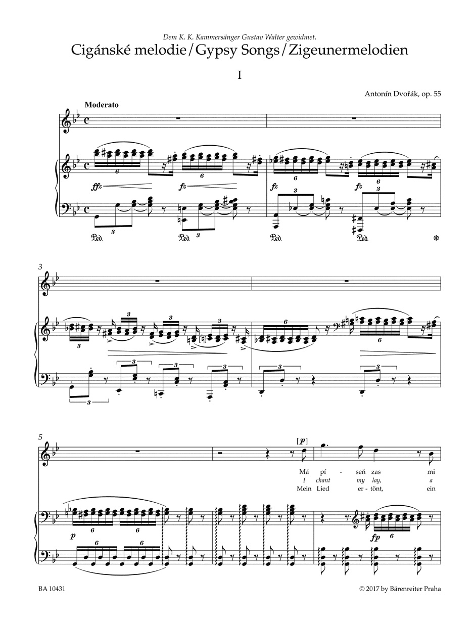 Other Cover Image Zigeunermelodien op. 55