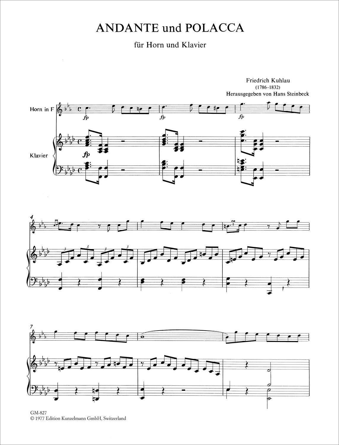 Other Cover Image Andante e Polacca