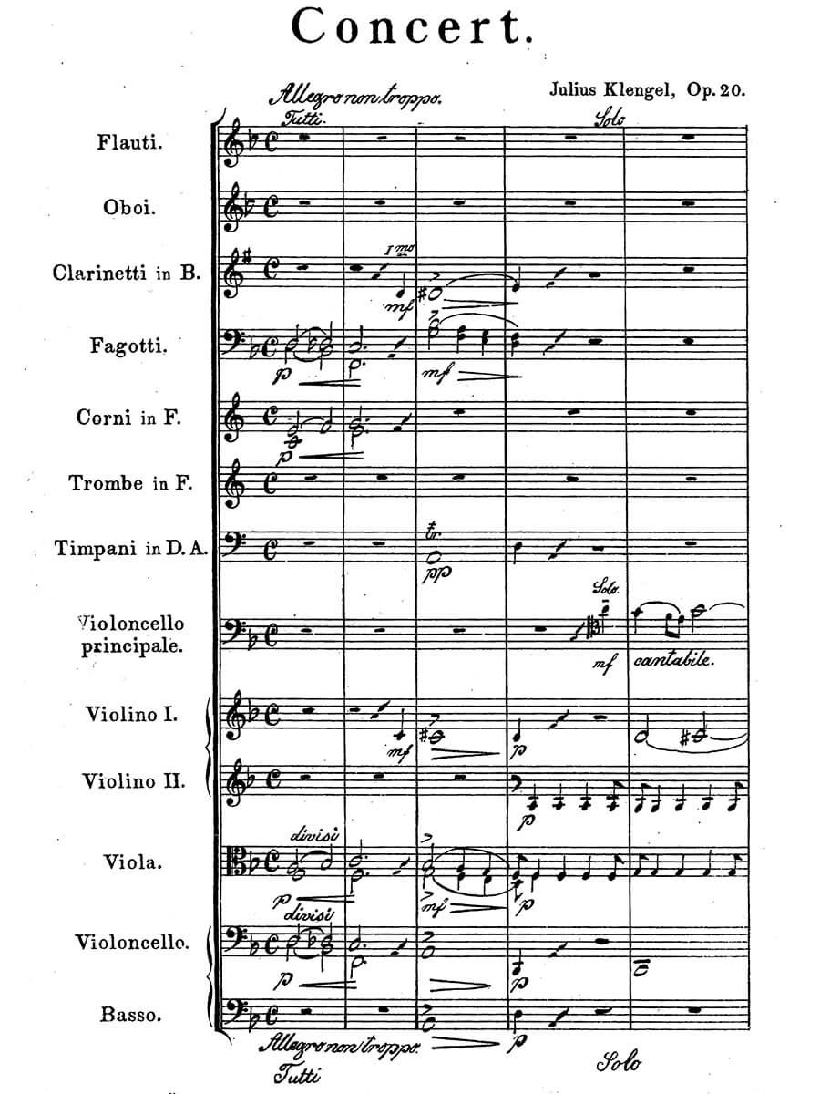 Front Cover Image Cellokonzert Nr. 2 in d-Moll Op. 20