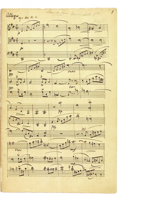 Other Cover Image Streichtrio in D-Dur op. 6