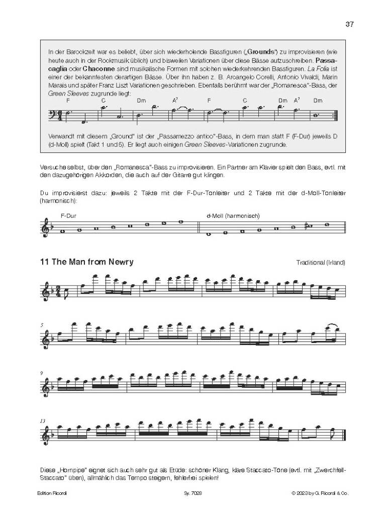 Other Cover Image Flöte spielen - Querflötenschule Band D