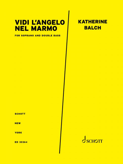 Front Cover Image Vidi l’Angelo nel marmo 