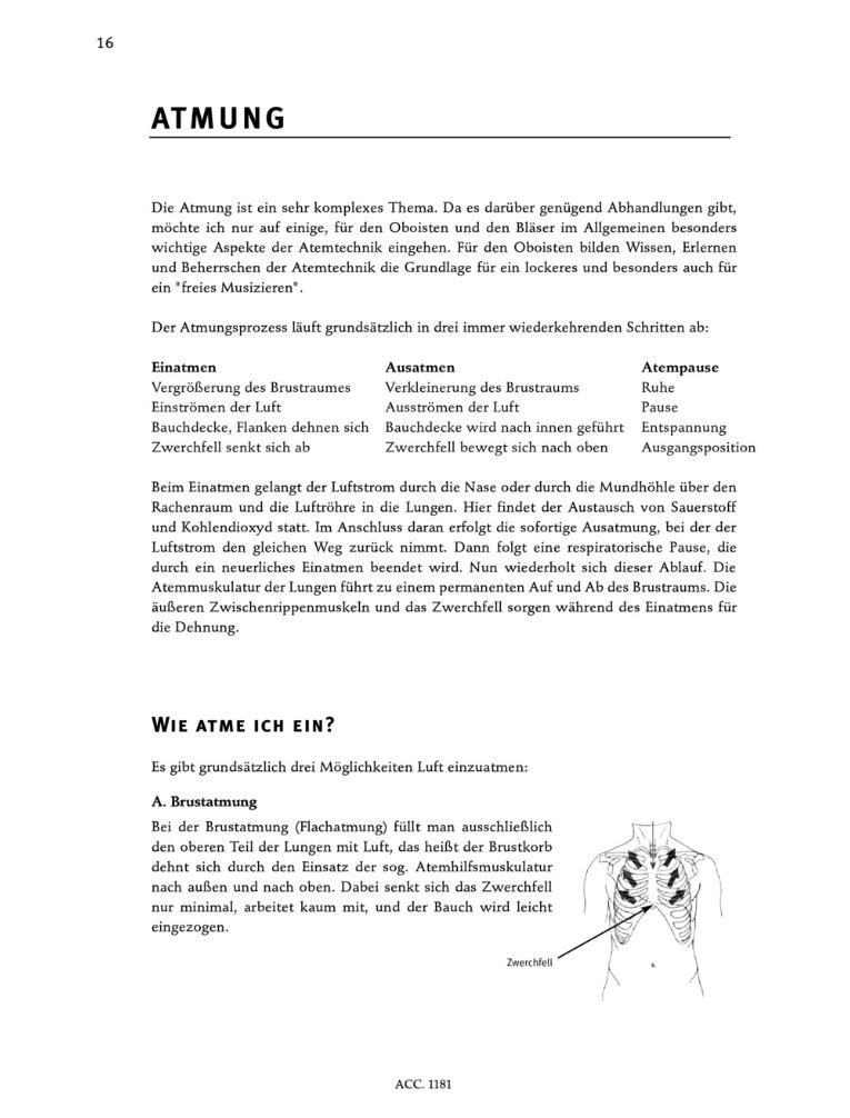 Other Cover Image Oboenbasis 