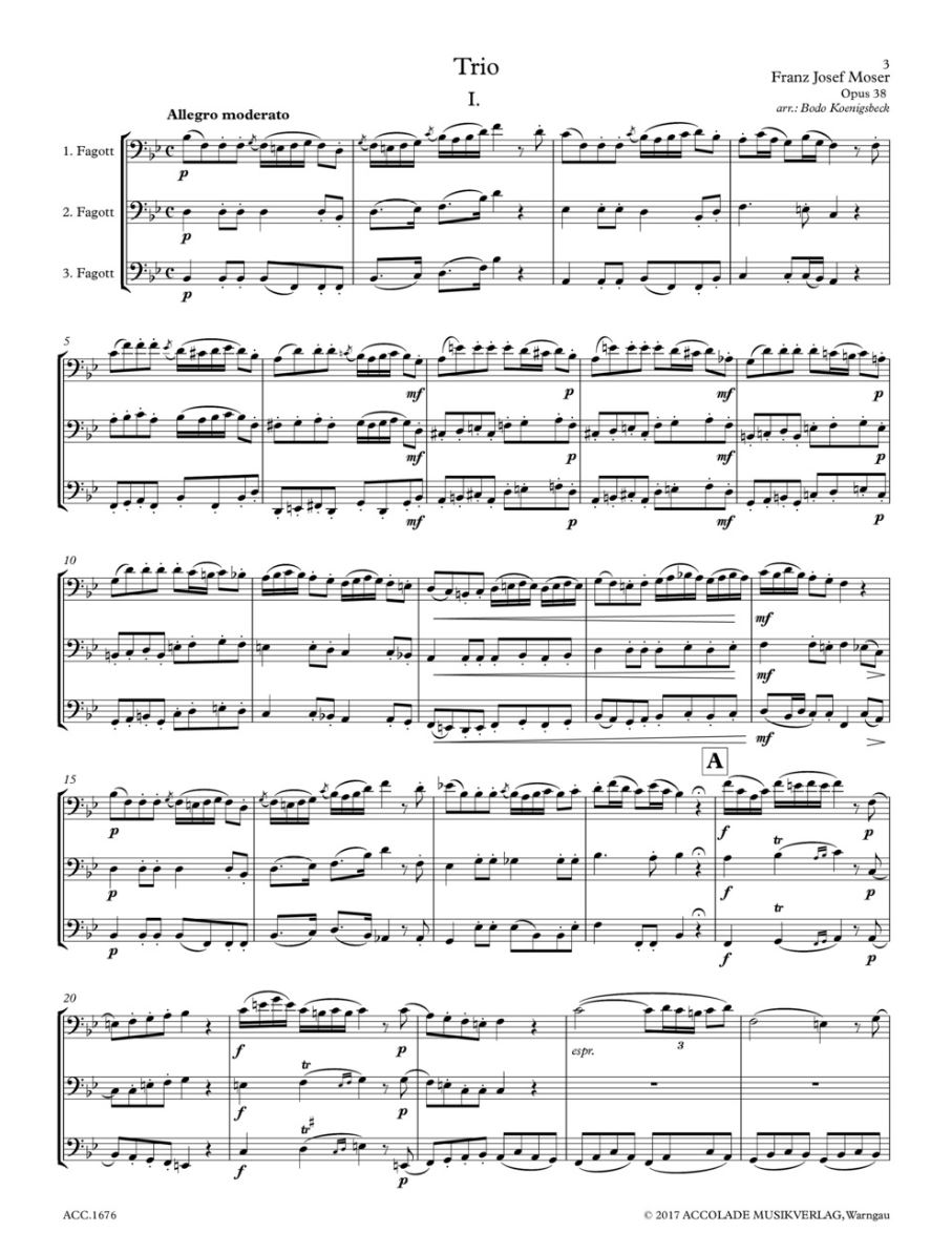 Other Cover Image Trio op. 38 