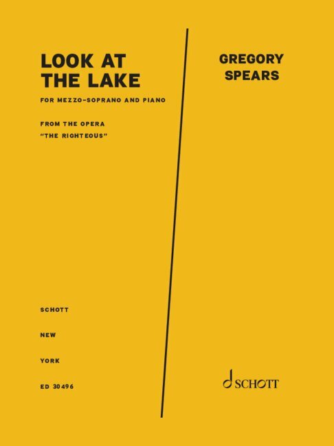 Front Cover Image Look at the lake 