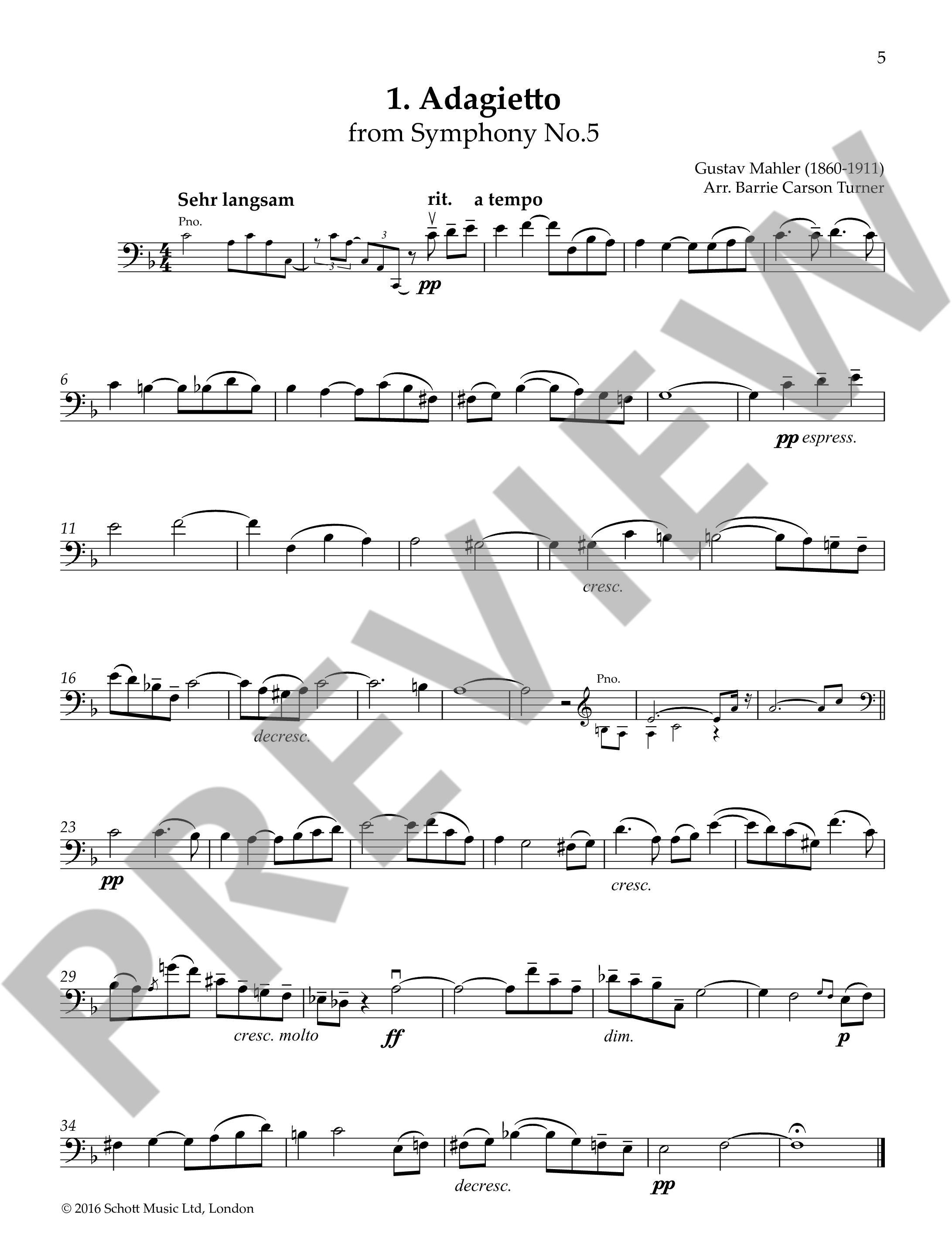 Other Cover Image The Cello Playlist