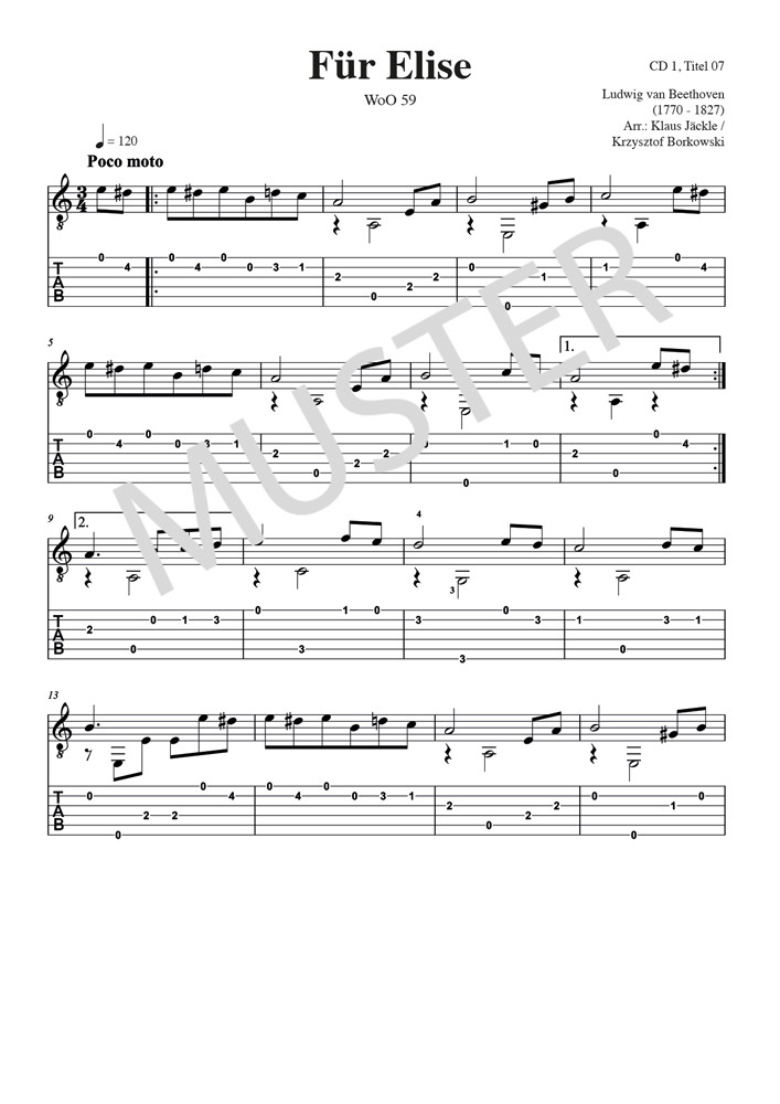 Other Cover Image Guitar Guitar