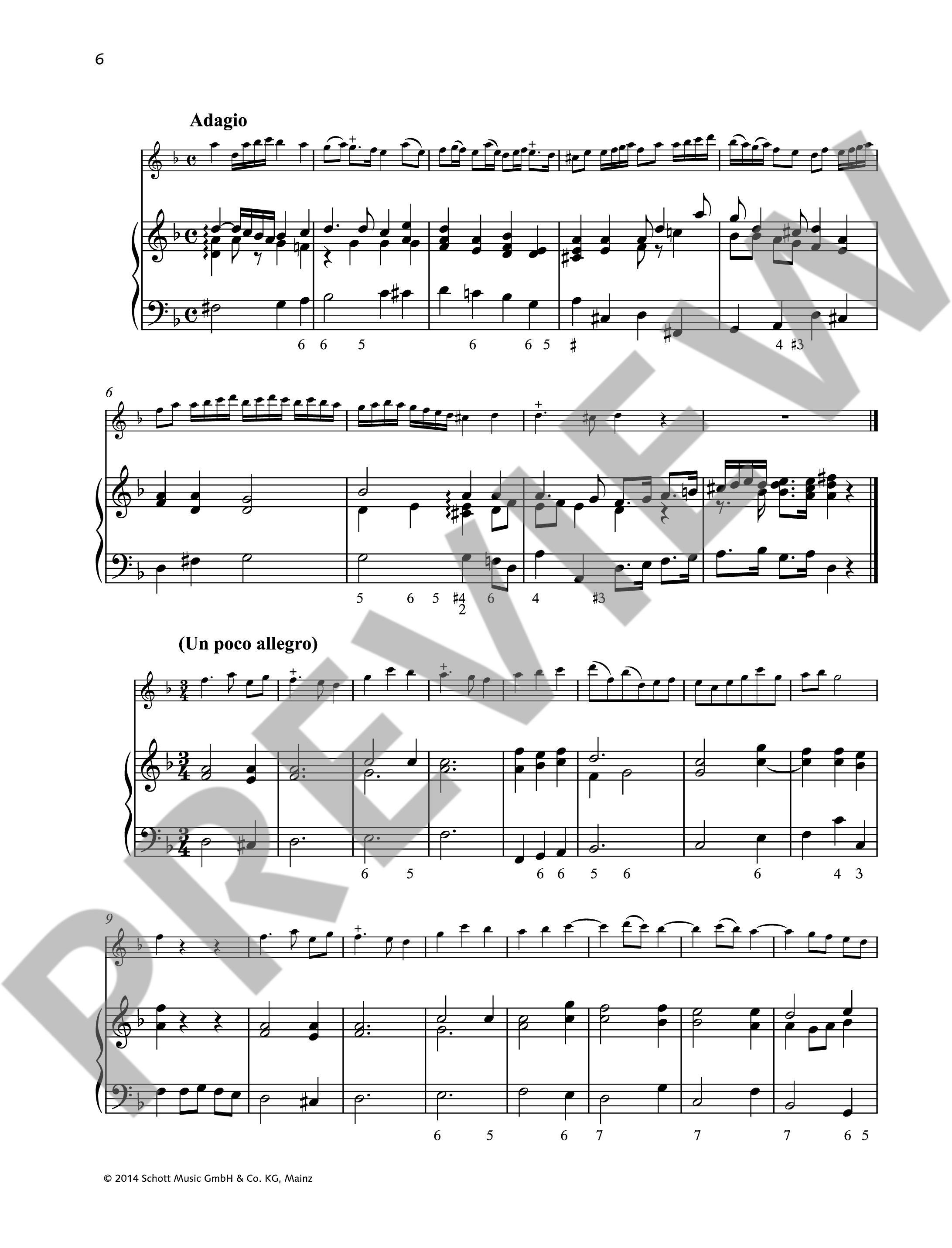 Other Cover Image Schott Recorder Library