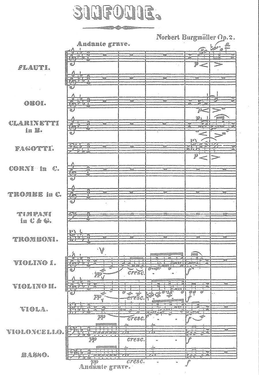 Other Cover Image Symphonie Nr. 1 in moll Op.  2