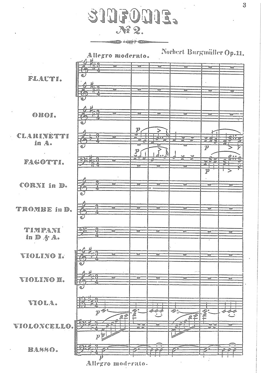Other Cover Image Symphonie Nr. 2 D-Dur op. 11