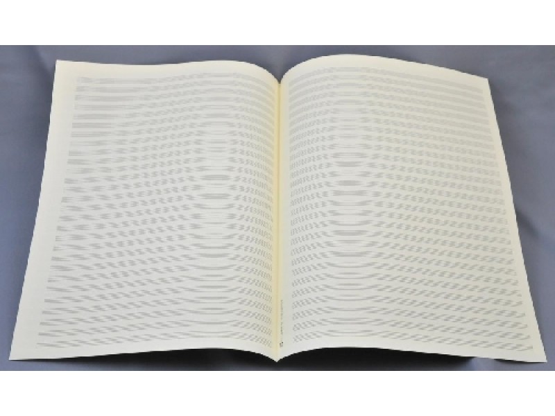 Front Cover Image Notenpapier - Quart hoch 28 Systeme