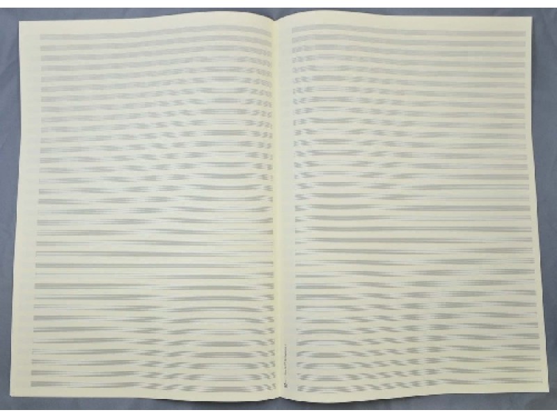 Front Cover Image Notenpapier - DIN A3 hoch 34 Systeme