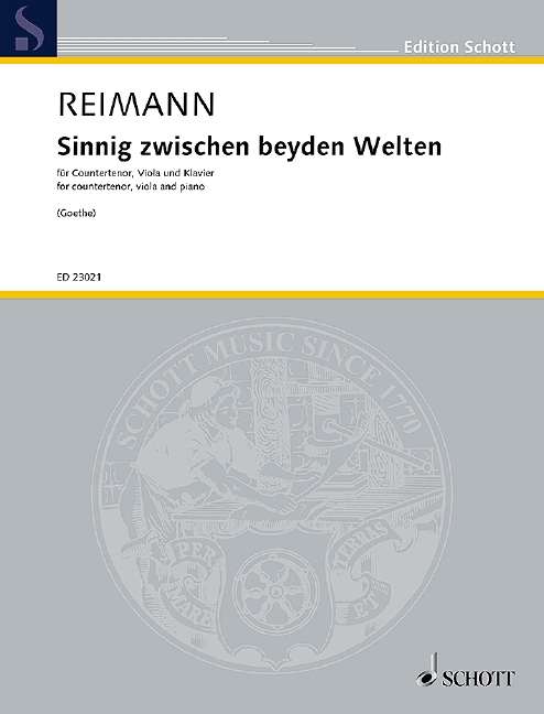 Other Cover Image Sinnig zwischen beyden Welten