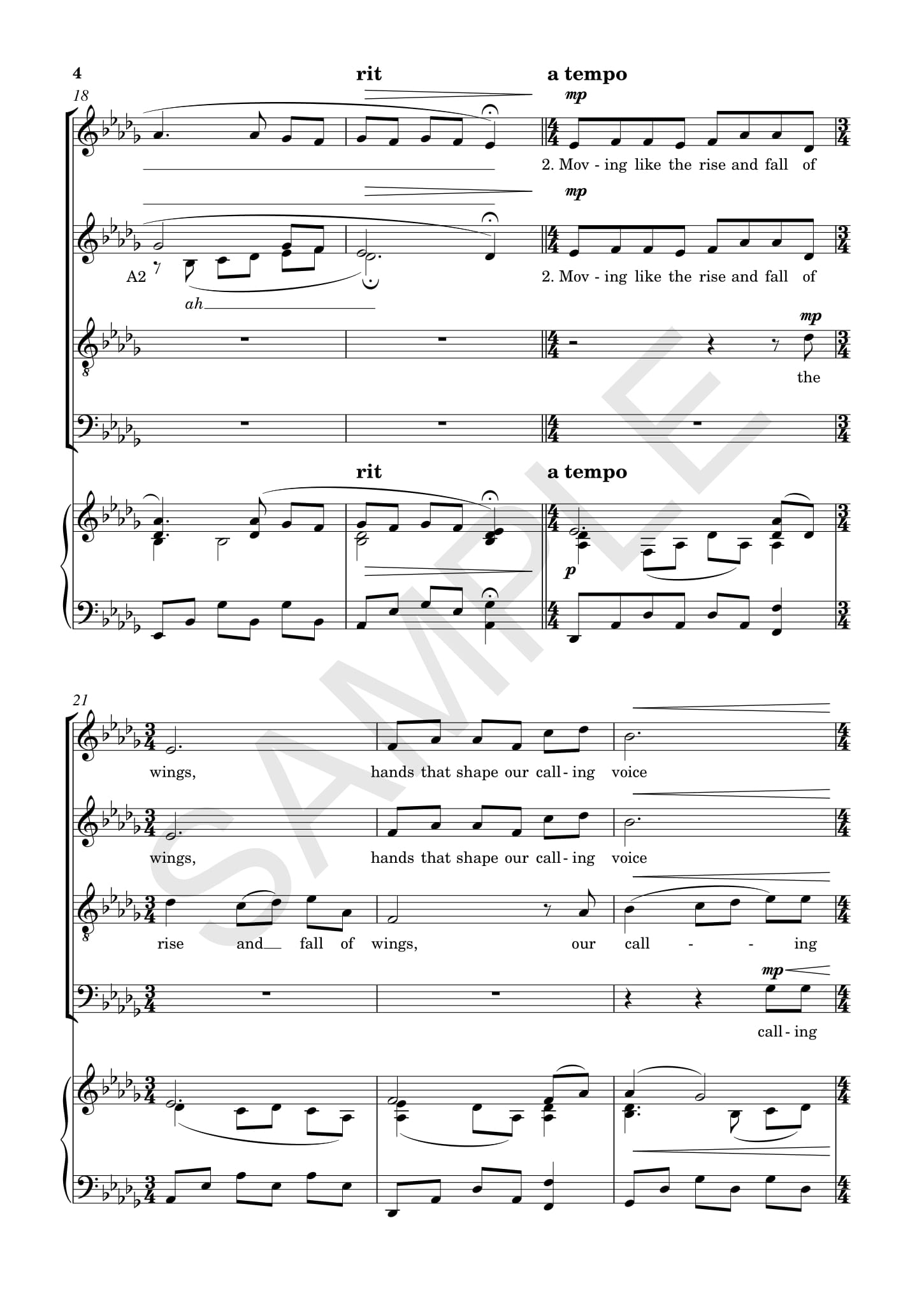 Other Cover Image Flight Song