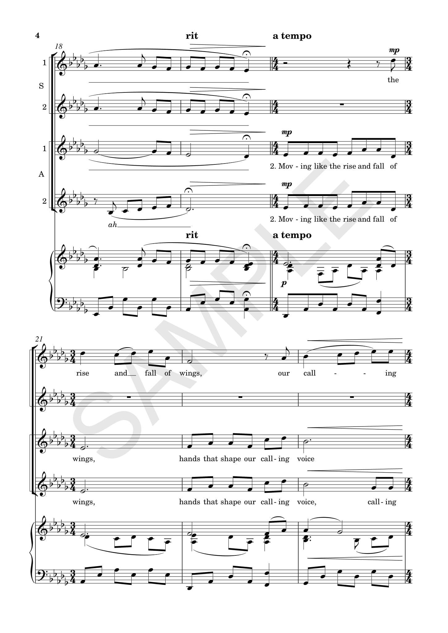 Other Cover Image Flight Song