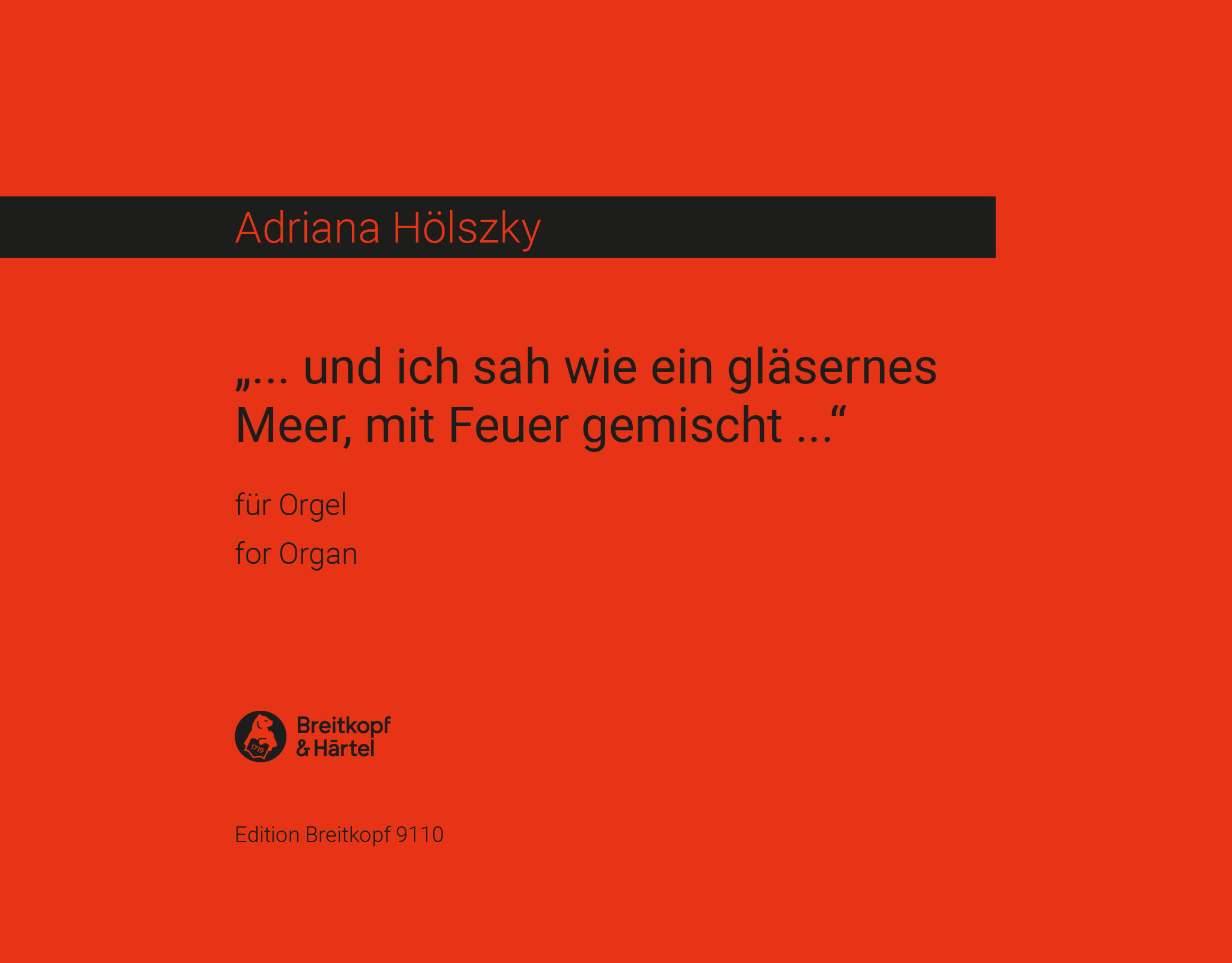 Front Cover Image Und ich sah wie ein gläsernes Meer, mit Feuer gemischt... (1997)