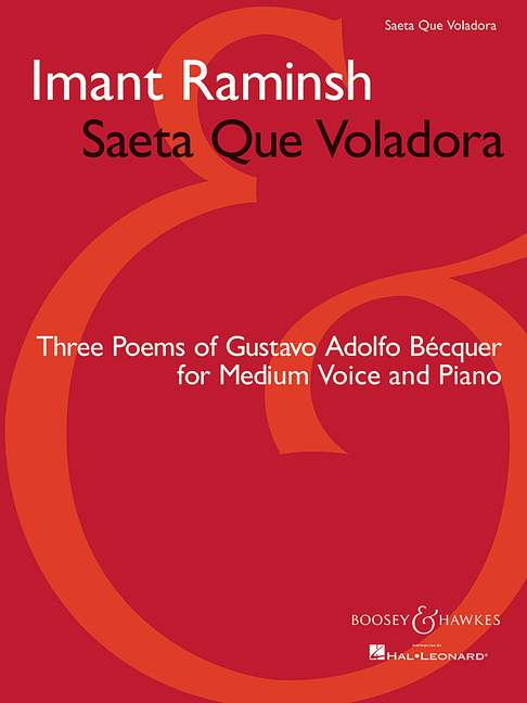 Front Cover Image Saeta que voladora