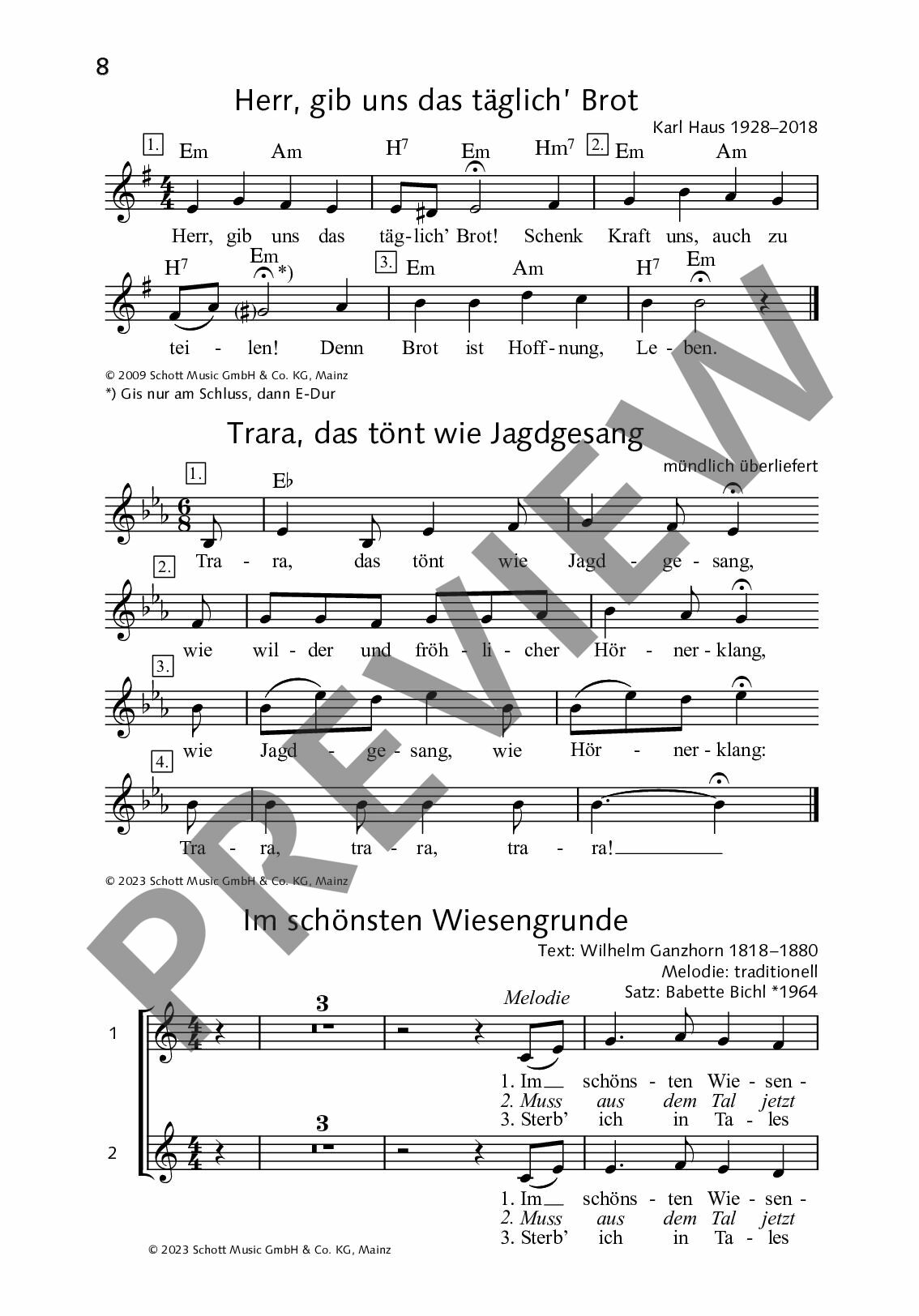 Other Cover Image Silberklang light: Herbstleuchten