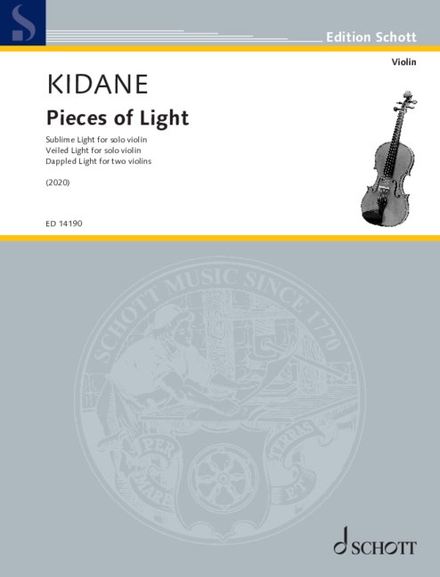 Front Cover Image Pieces of Light
