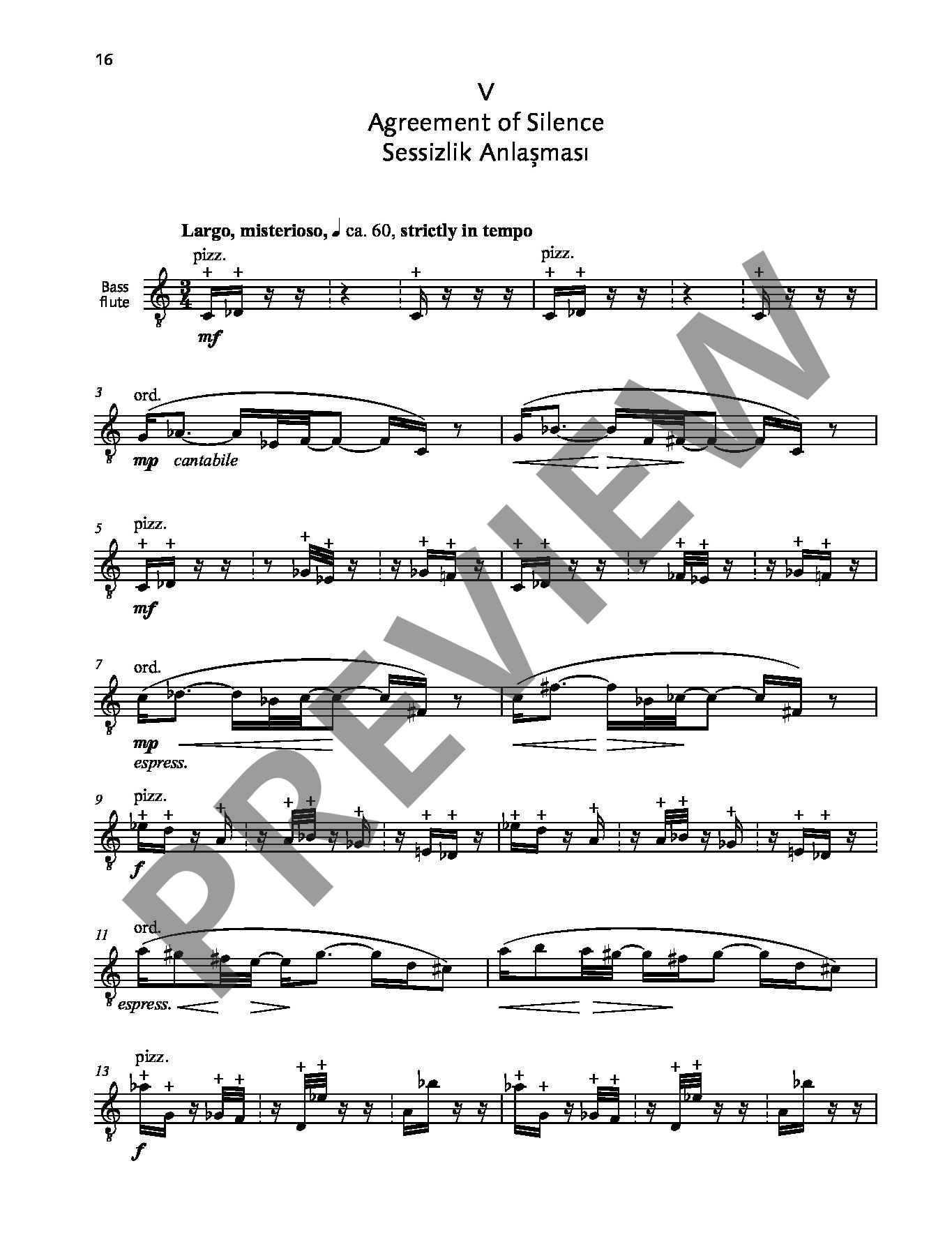 Other Cover Image Flute World op. 84