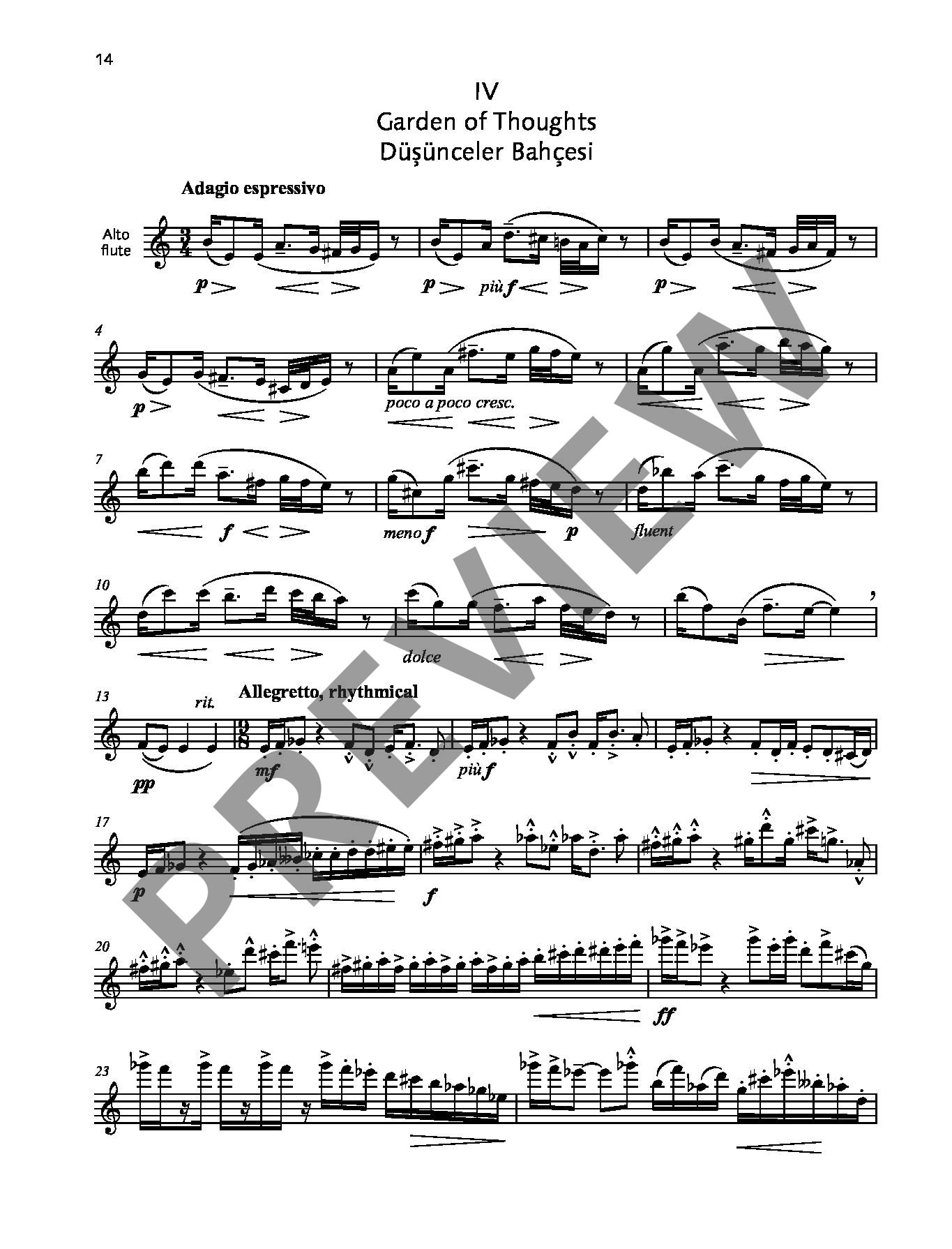 Other Cover Image Flute World op. 84