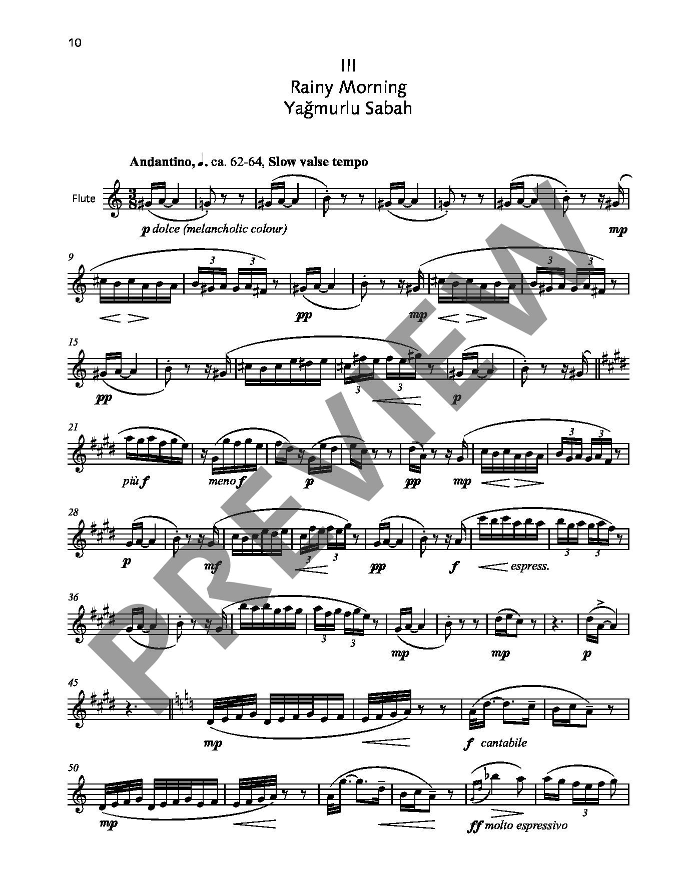 Other Cover Image Flute World op. 84