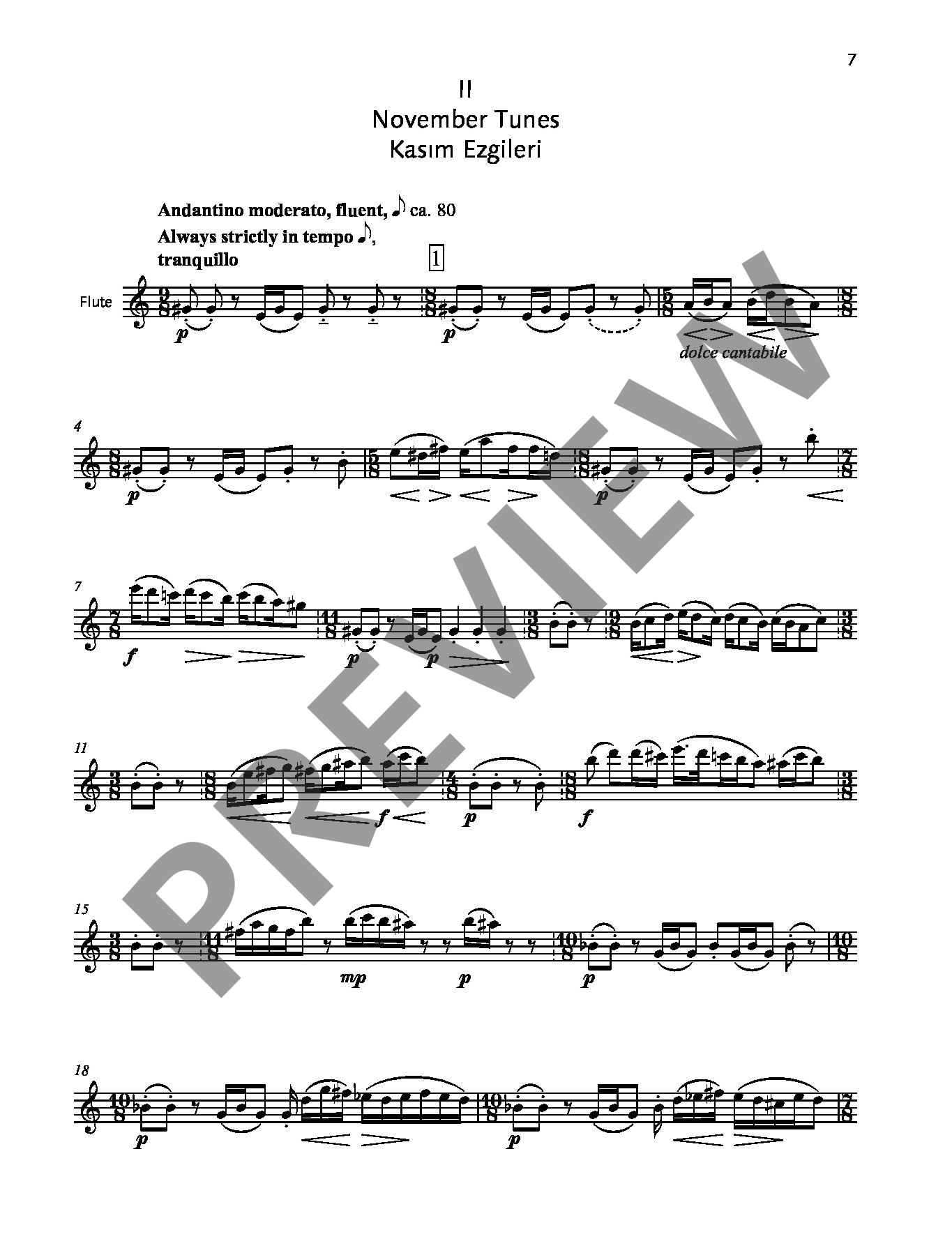 Other Cover Image Flute World op. 84