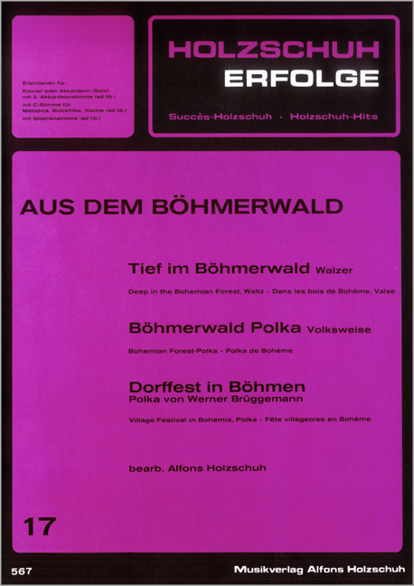 Front Cover Image Holzschuh Erfolge, Band 17