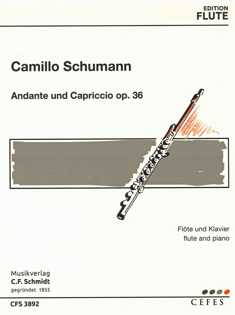 Front Cover Image Andante und Capriccio op. 36