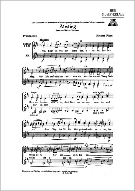 Front Cover Image Abstieg