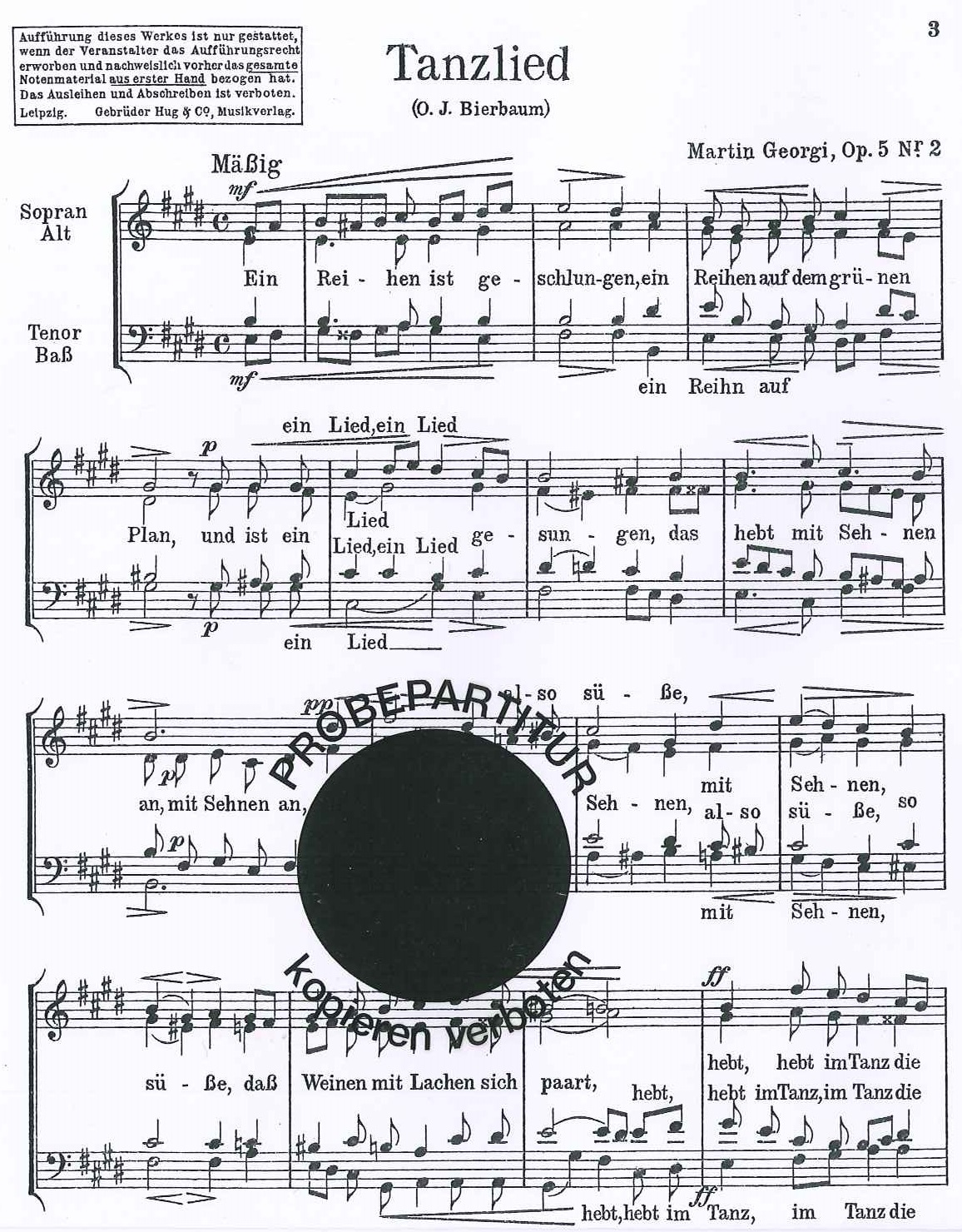 Front Cover Image Kätzchen