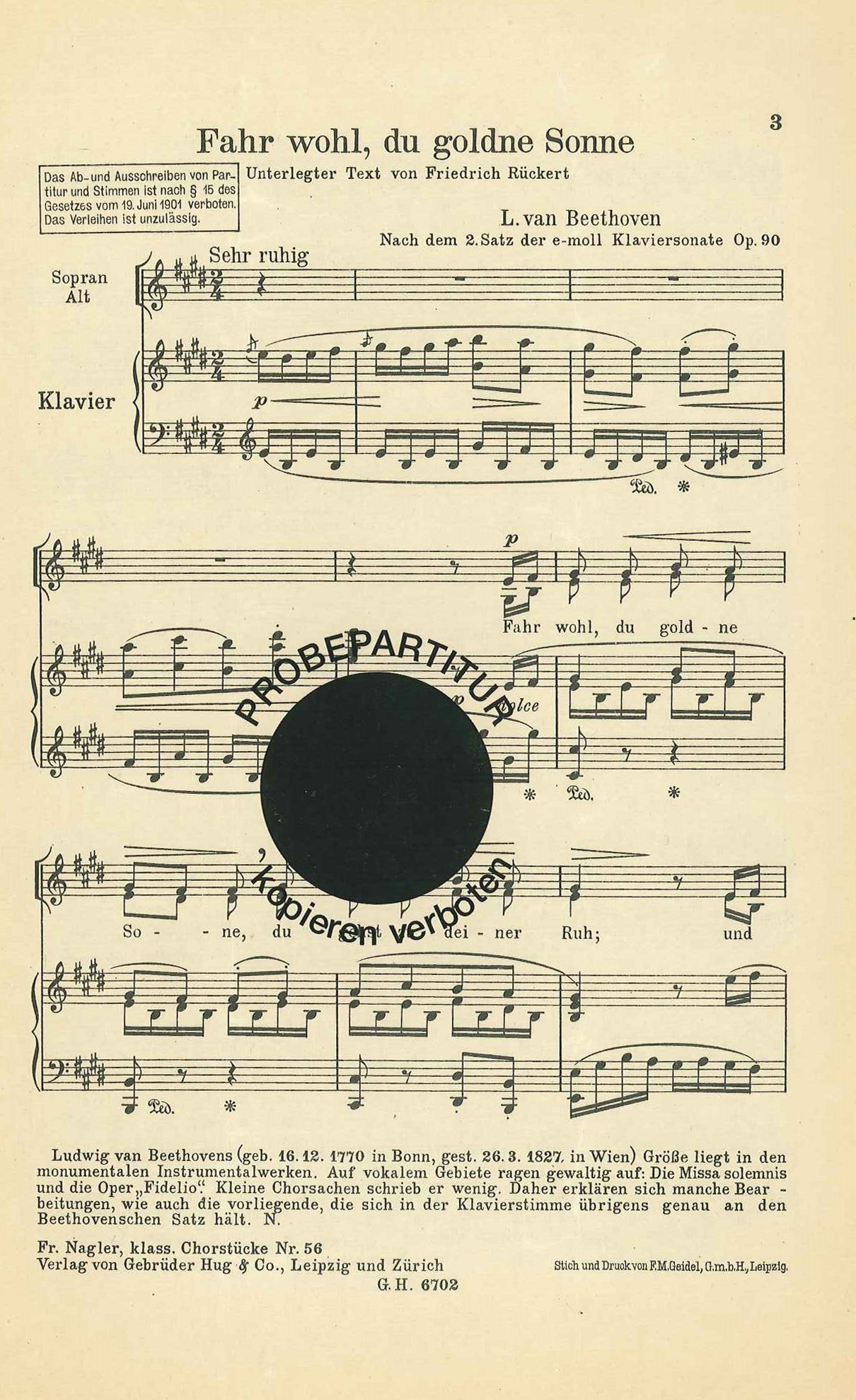 Front Cover Image Fahr wohl du goldne Sonne