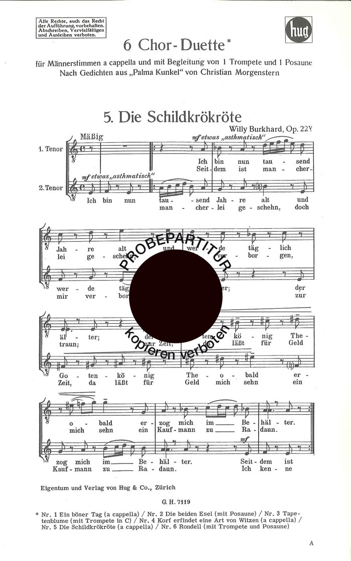 Front Cover Image Schildkröte