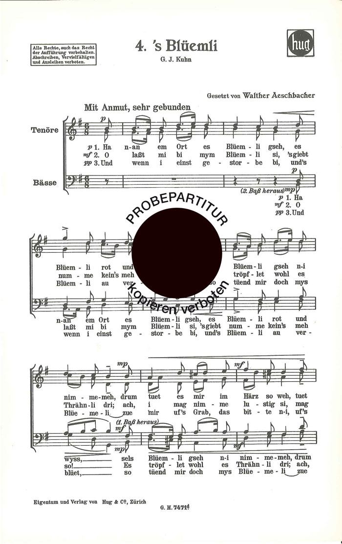 Front Cover Image Blümli