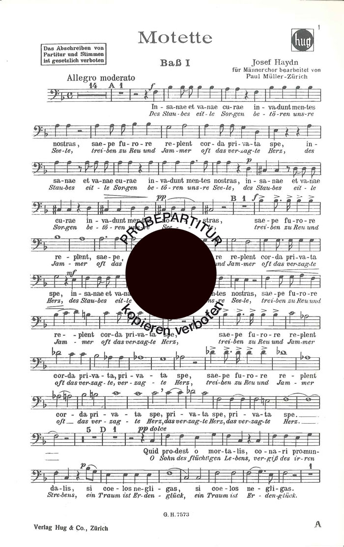 Front Cover Image Motette