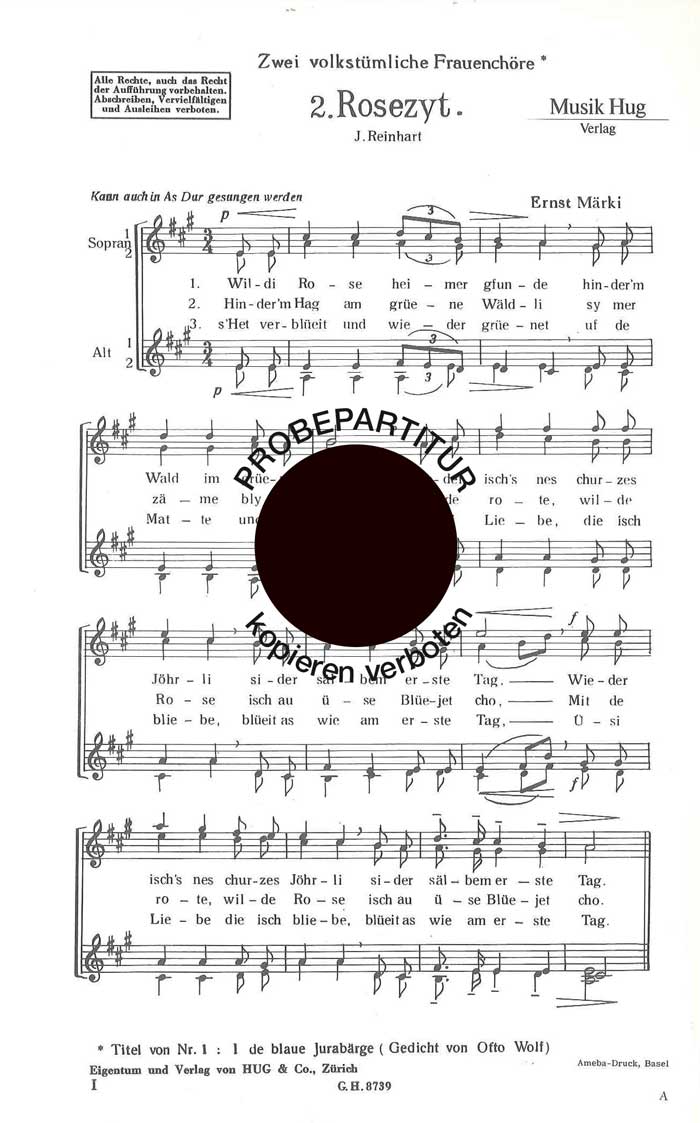 Front Cover Image Rosezyt