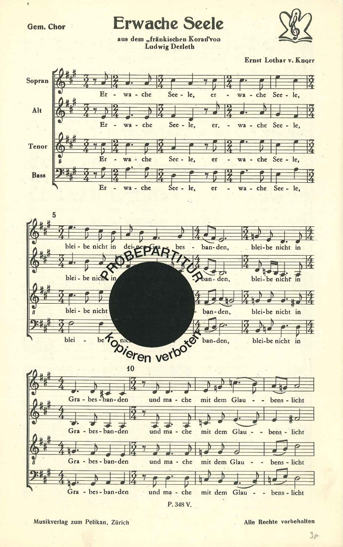 Front Cover Image Erwache Seele