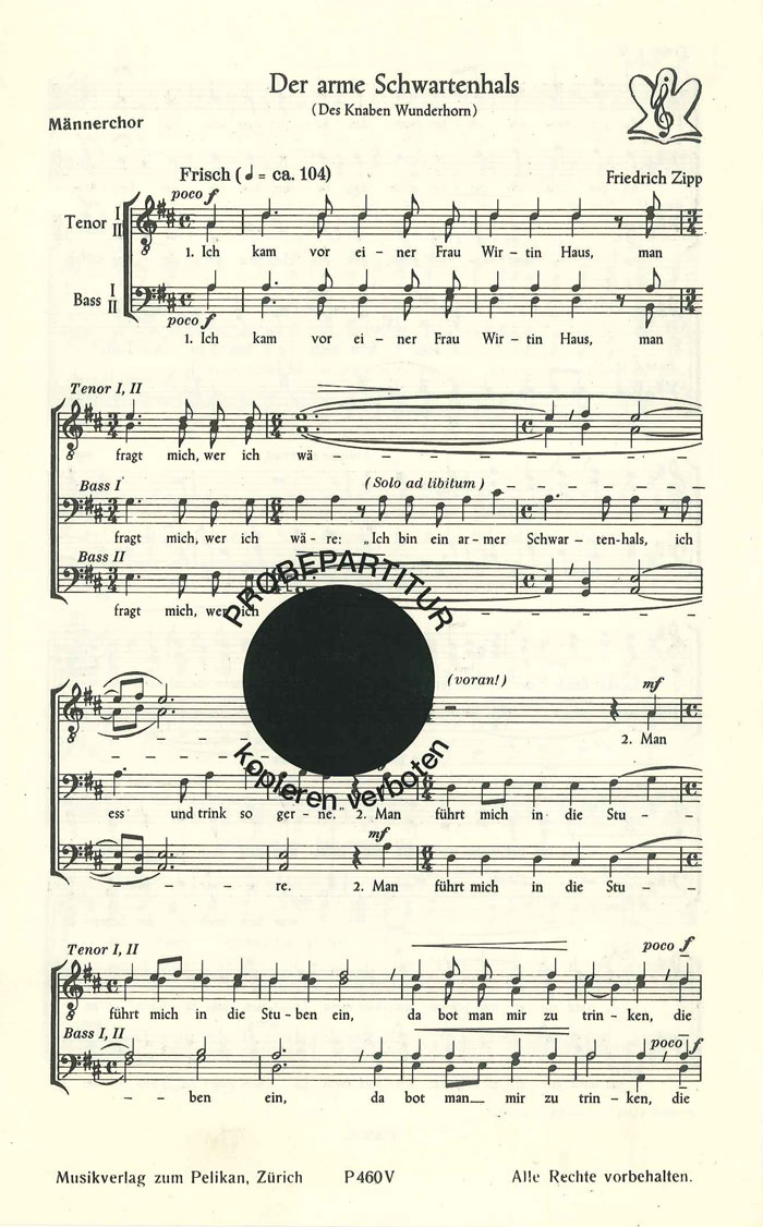 Front Cover Image Arme Schwartenhals