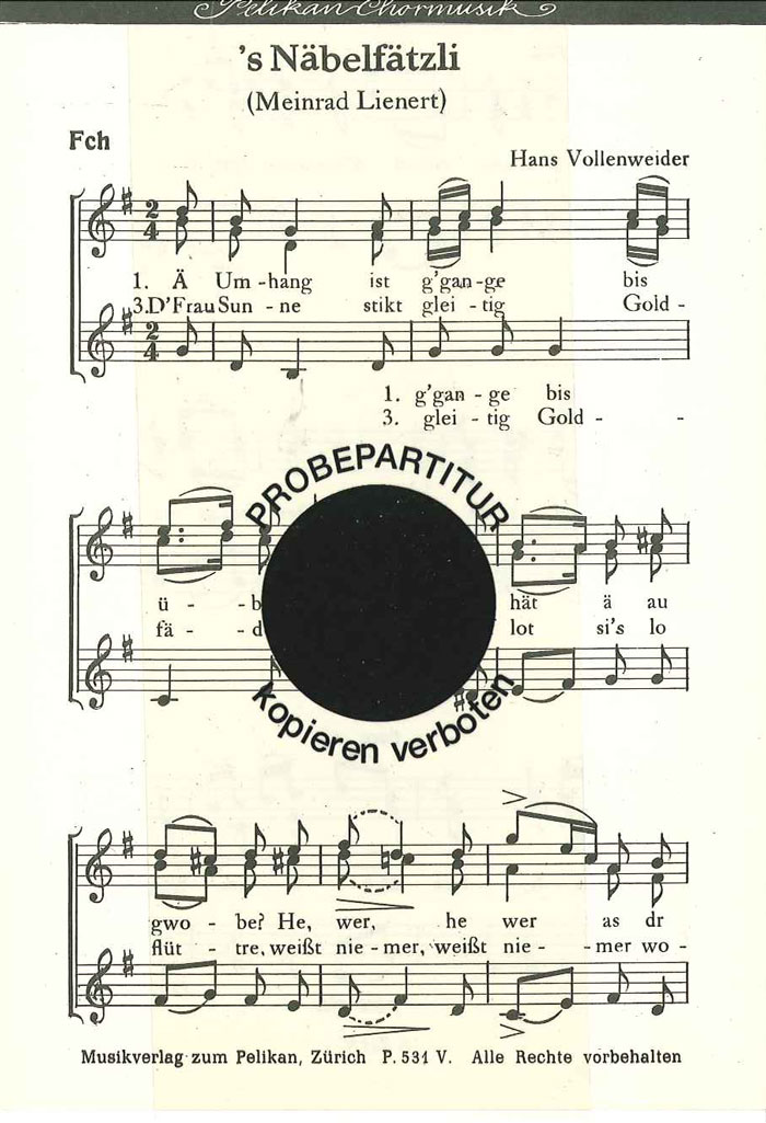 Front Cover Image Näbelfätzli