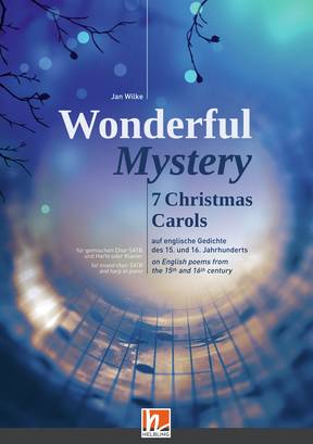 Front Cover Image Wonderful Mystery
