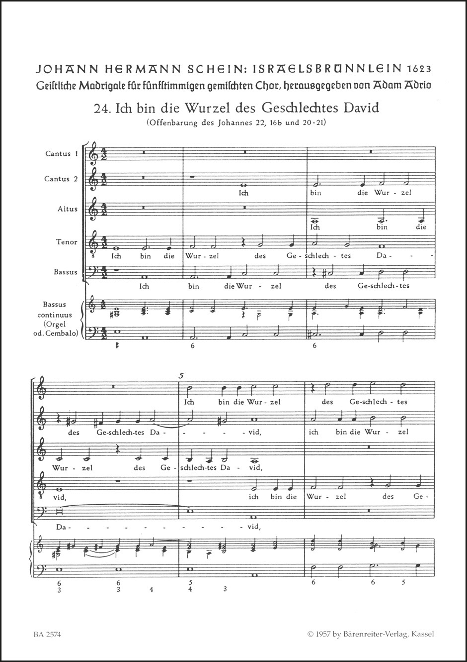 Front Cover Image Ich bin die Wurzel des Geschlechtes David Nr. 24