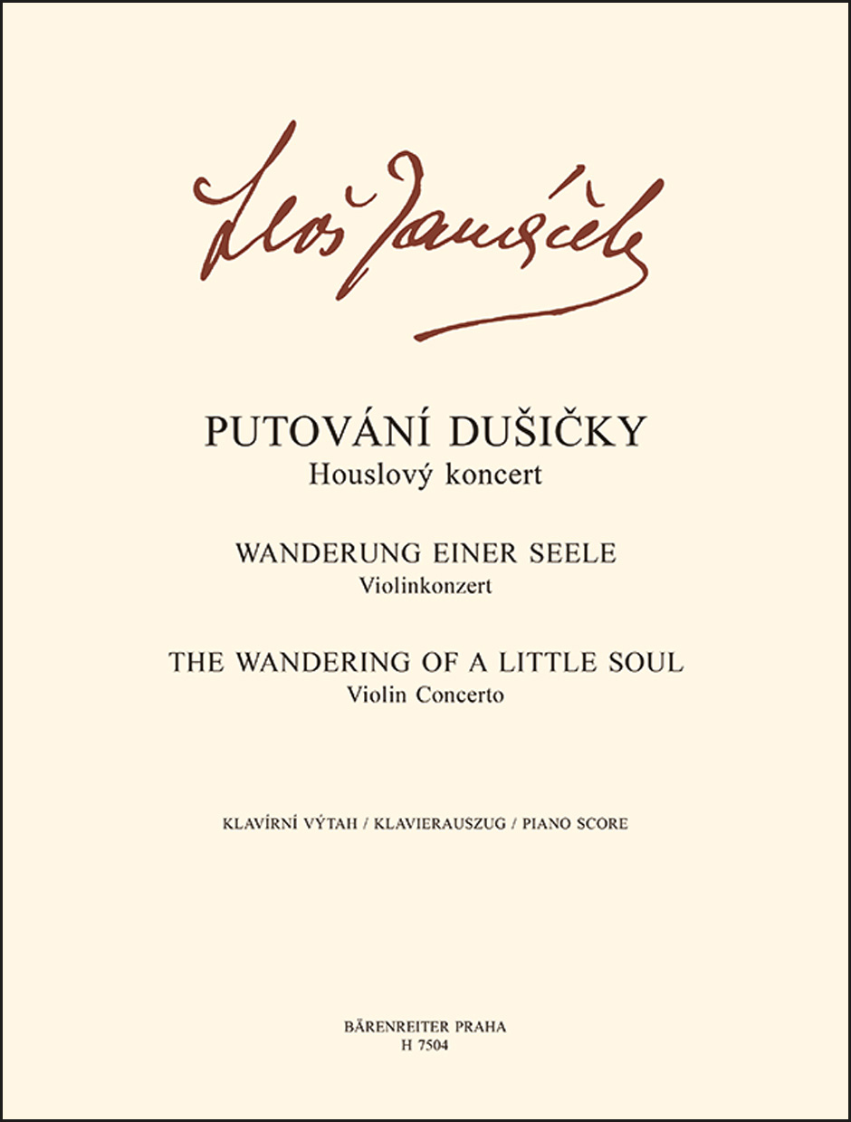 Front Cover Image Wanderung einer Seele